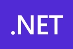 .Net Developer