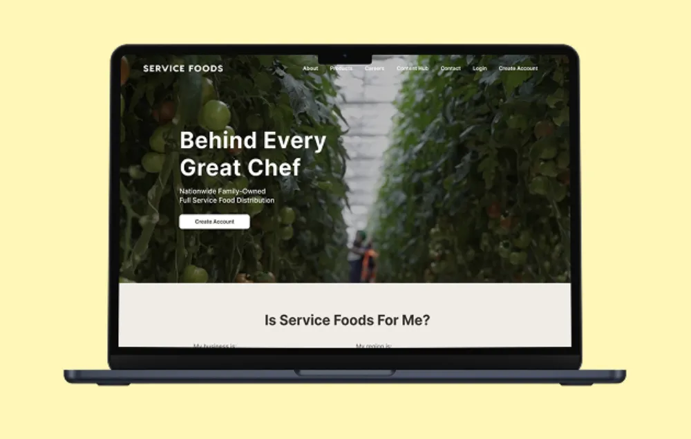 Website Design & Development